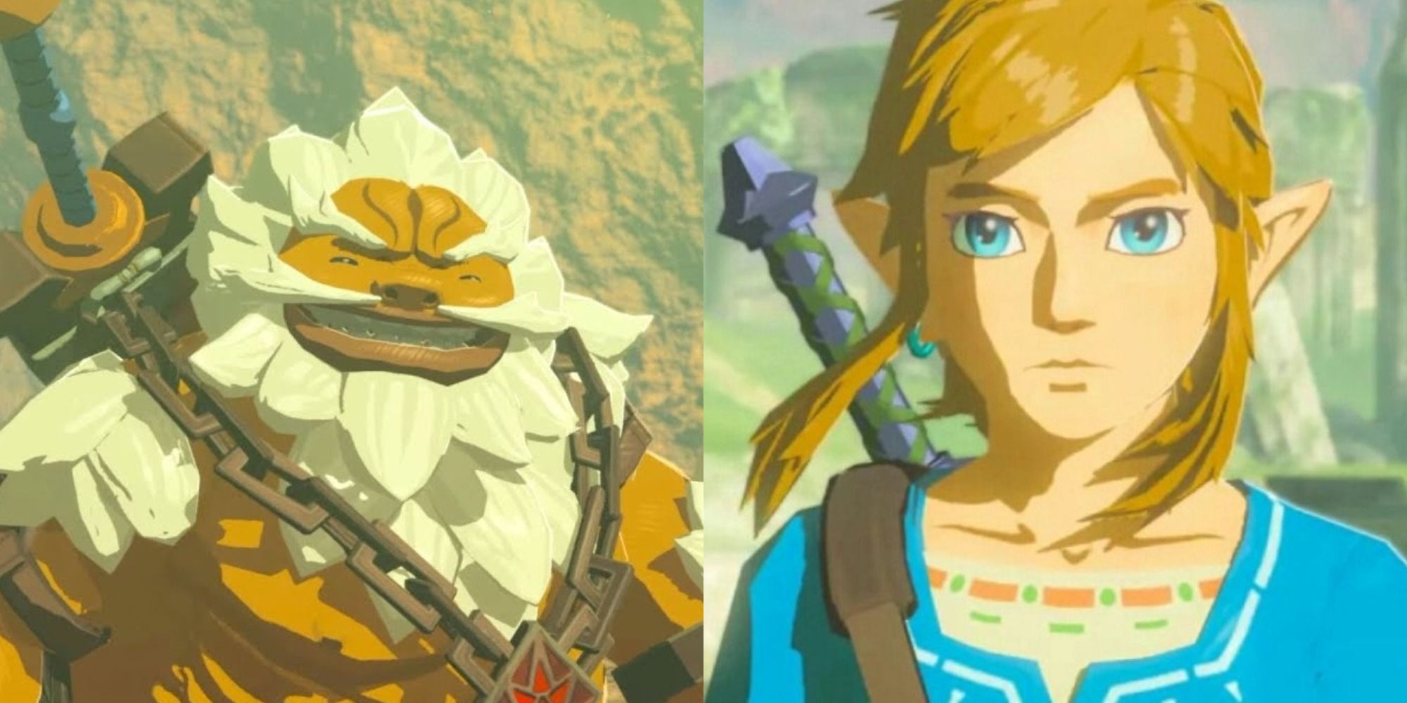 We Found and Ranked All 231 Characters in Breath of the Wild