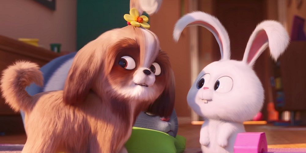 Daisy meets Snowball in The Secret Life of Pets 2