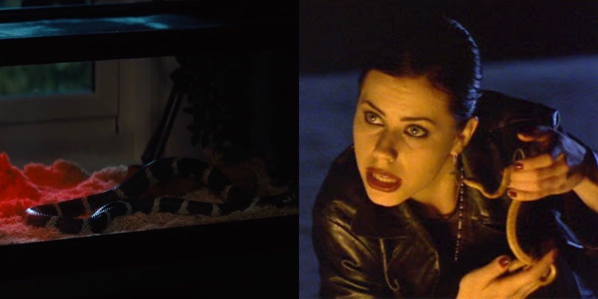 Snake in The Craft:Legacy and Nancy with snake in 1996 movie 