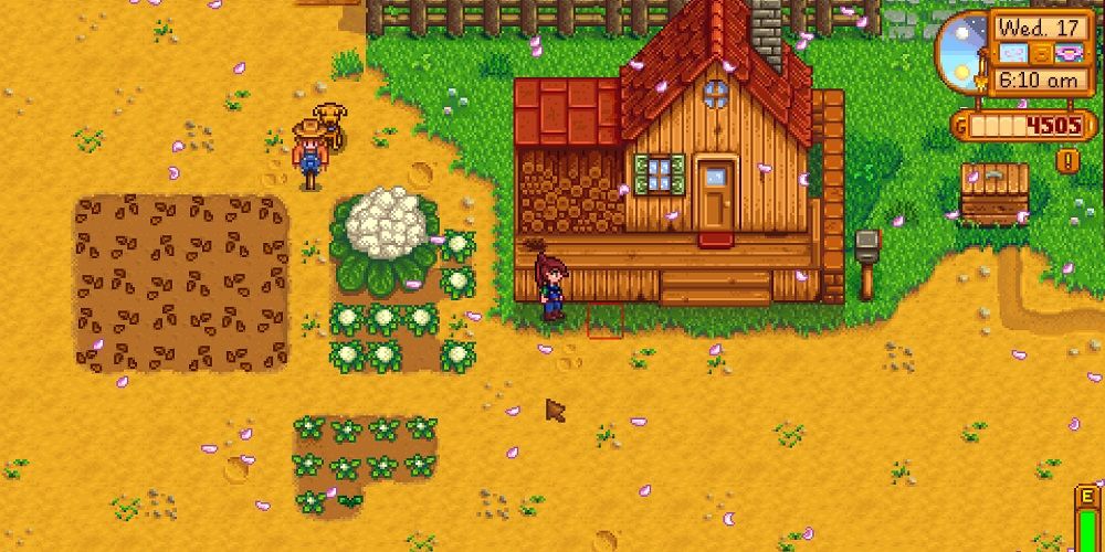 The player growing cauliflower on their farm.