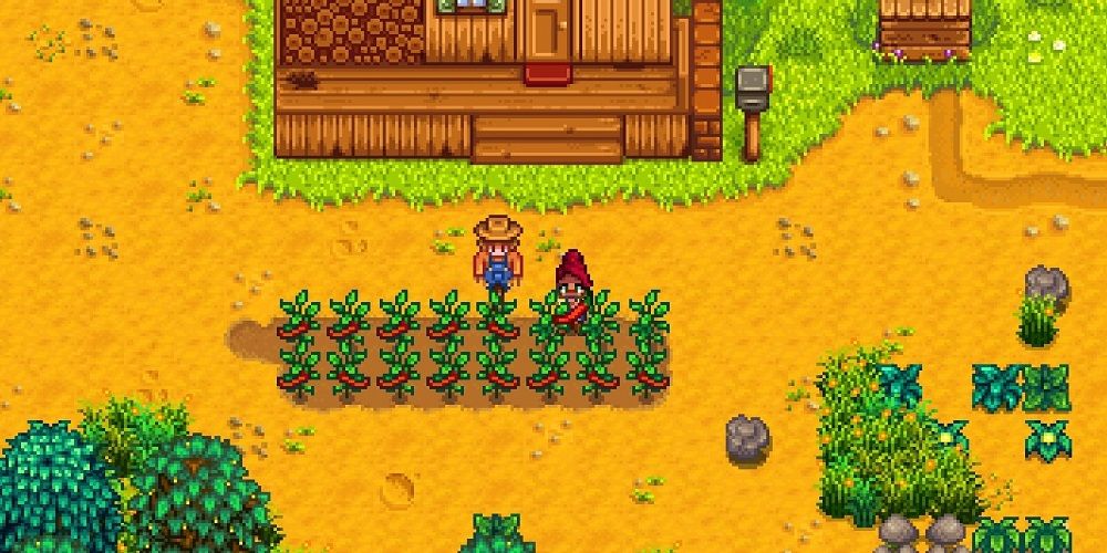 The player picking peppers from her garden.