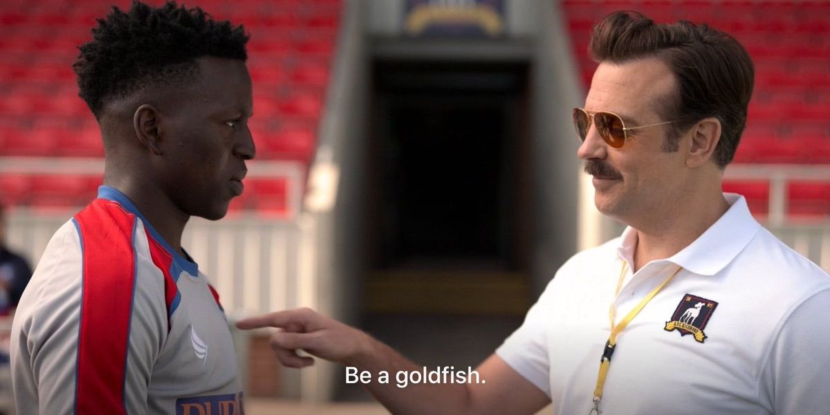 Ted tells a player not to be a goldfish