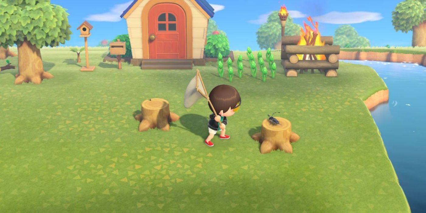 A player approaches a bug on a tree stump in Animal Crossing New Horizons