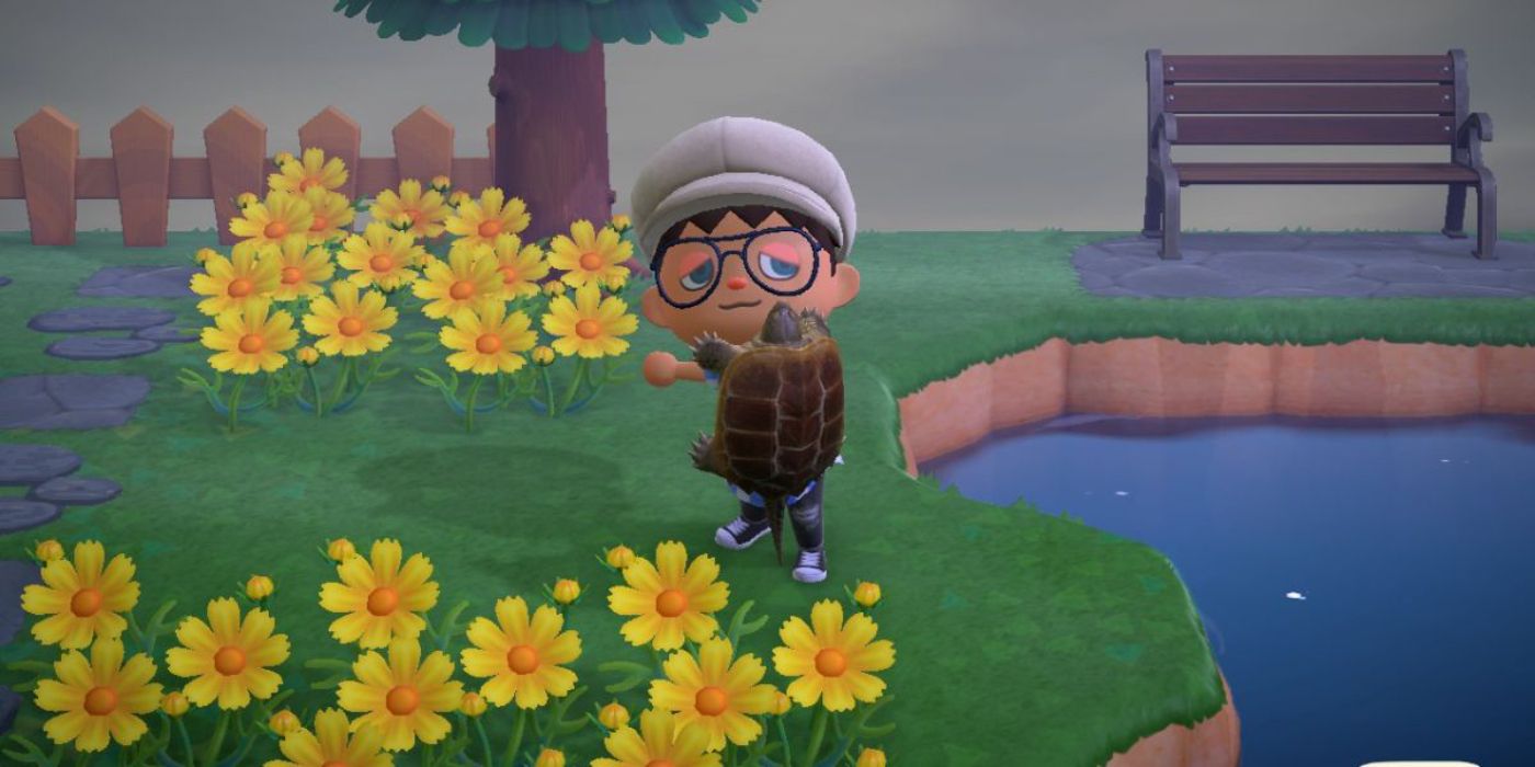 A player holds a turtle aloft in Animal Crossing New Horizons