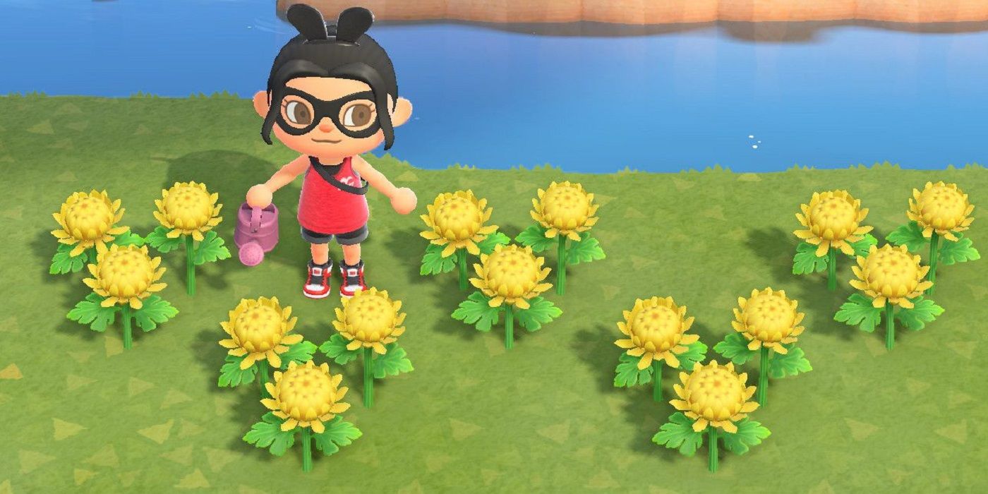 Animal Crossing Flowers Mums