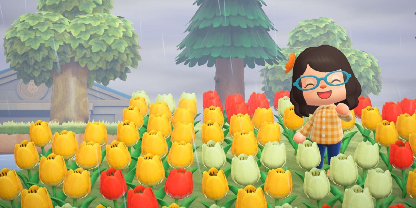 Animal Crossing Tulips