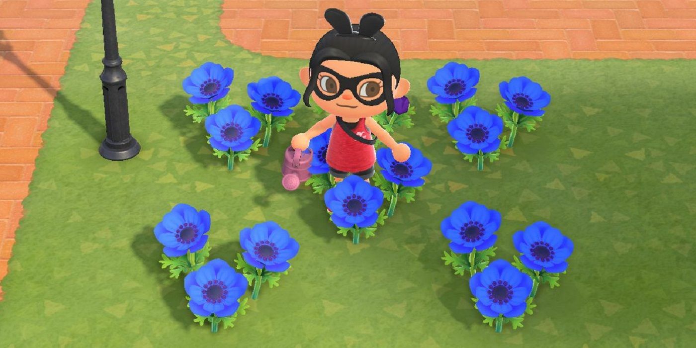 Animal Crossing Windflowers