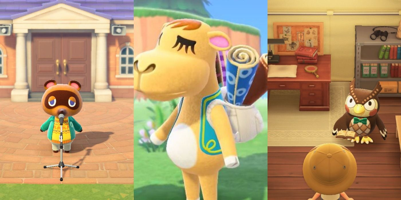 Animal Crossing characters: Saharah, Celeste, Tom Nook