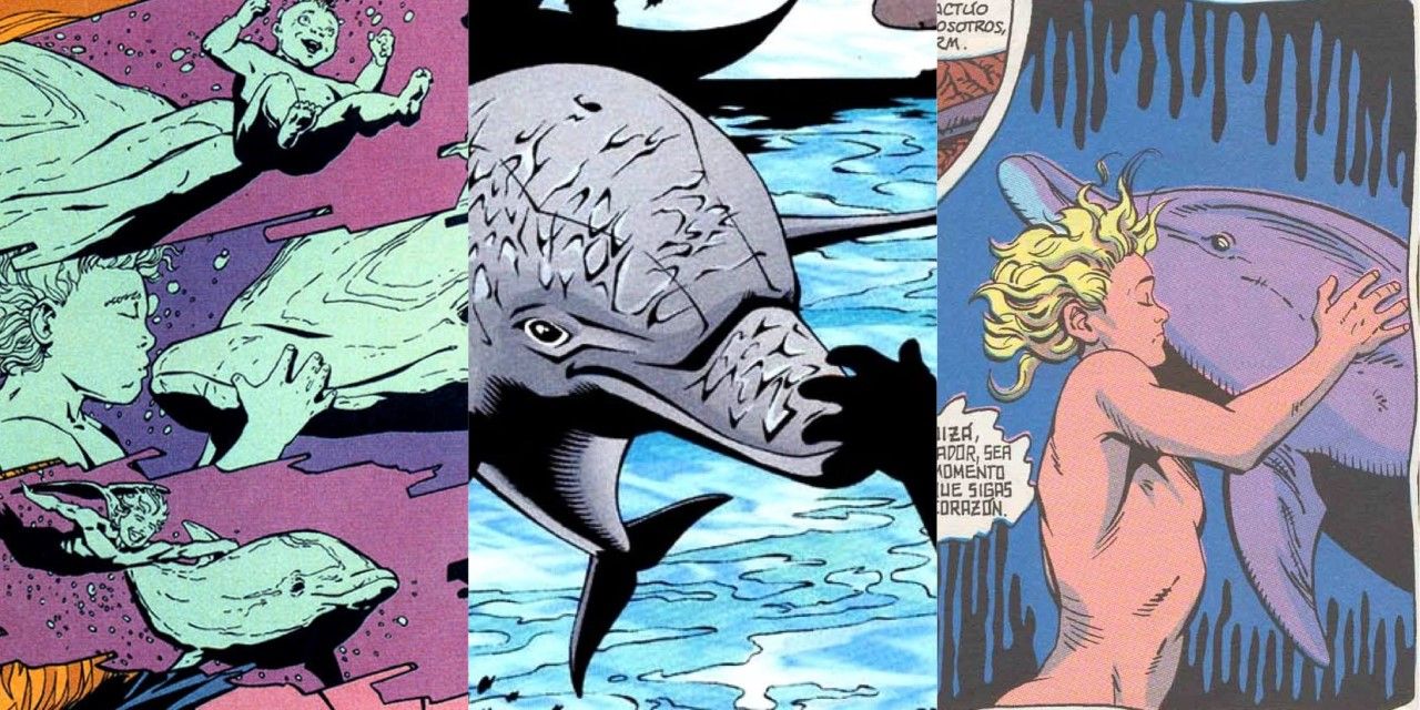 Split screen of Aquaman and Porm DC Comics