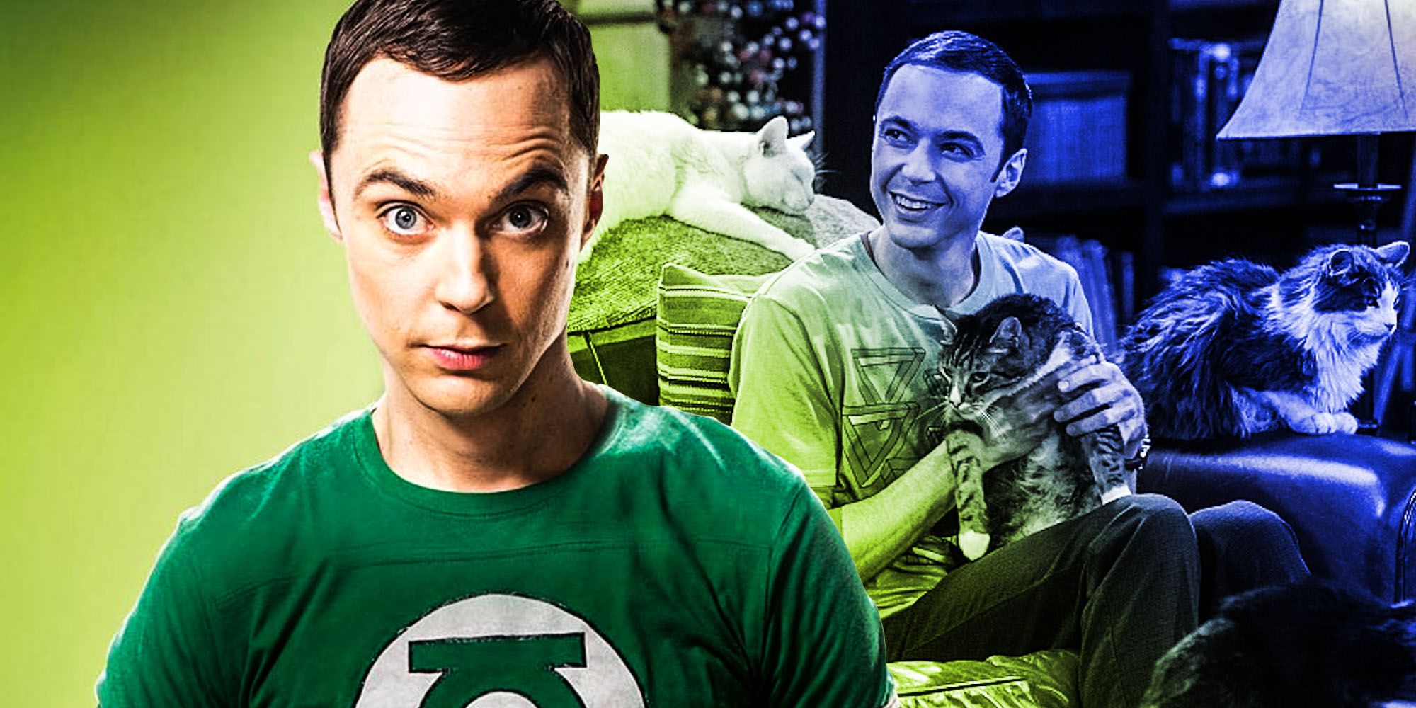 Big bang theory retcon Cat allergy Sheldon Cooper