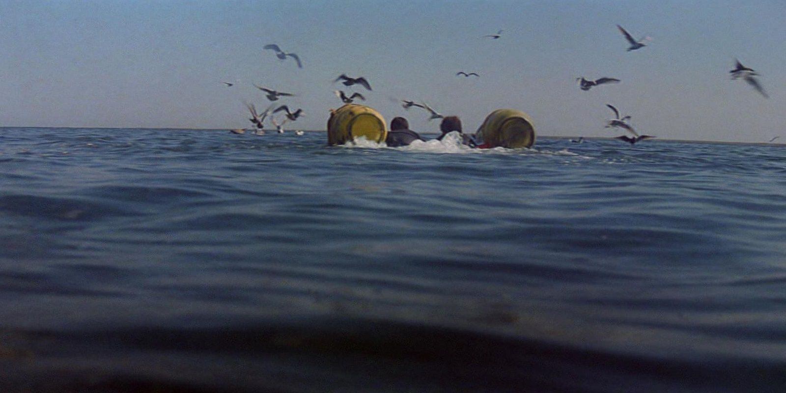 10 Harsh Realties Of Rewatching Jaws, 49 Years Later