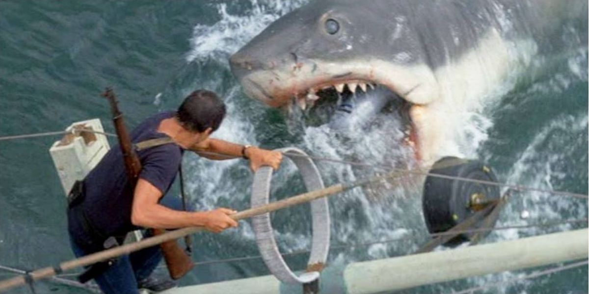 Chief Bordy fends off Bruce the Shark