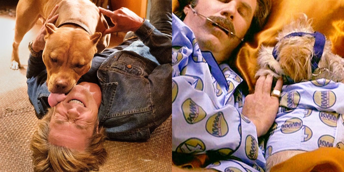 Split image of Brandy and Cliff in Once Upon A Time In Hollywood and Baxter in Anchorman