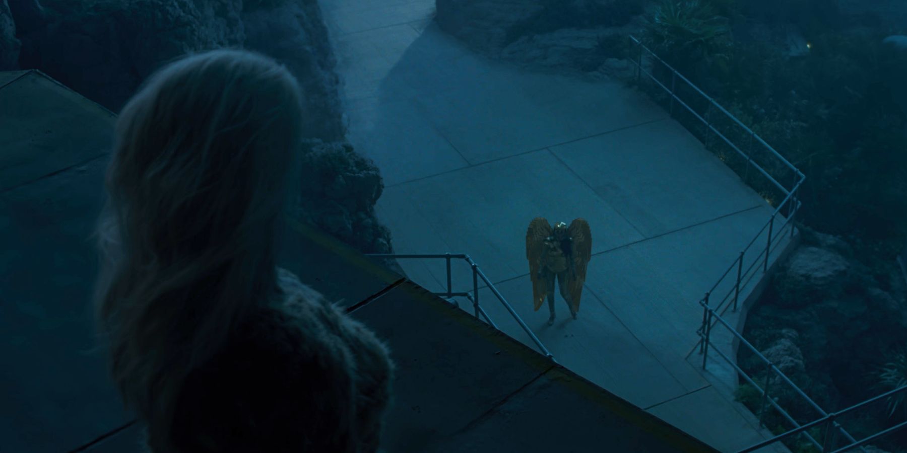 Cheetah Glaring Down At Wonder Woman - Wonder Woman 1984