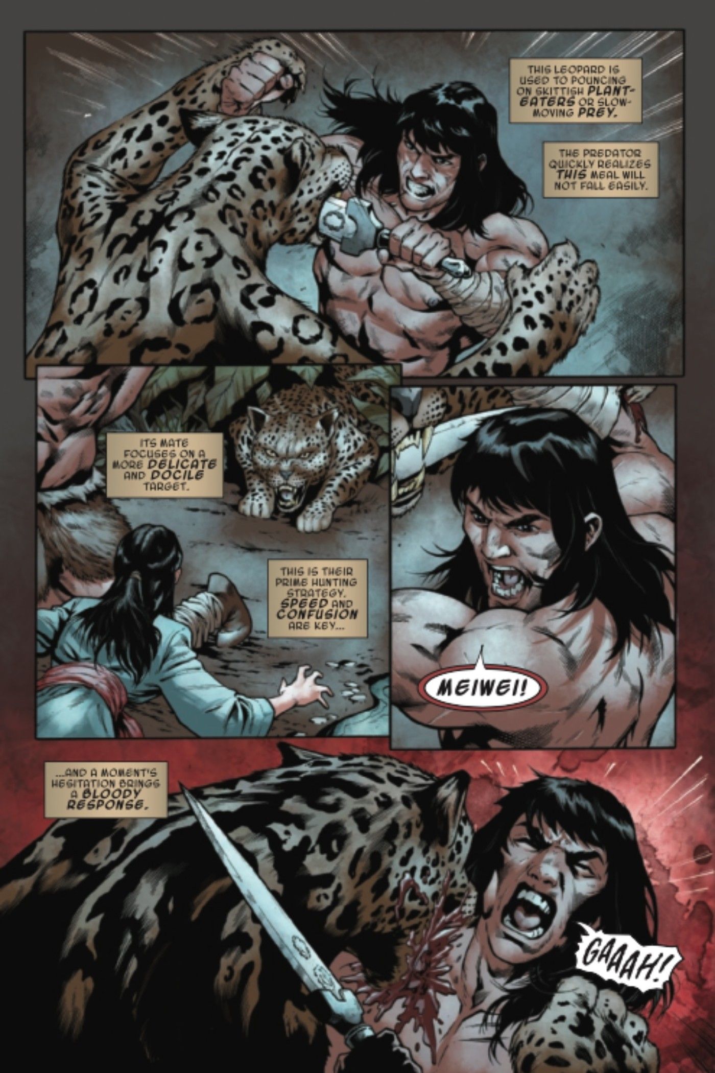 Conan the Barbarian Preview Page 3