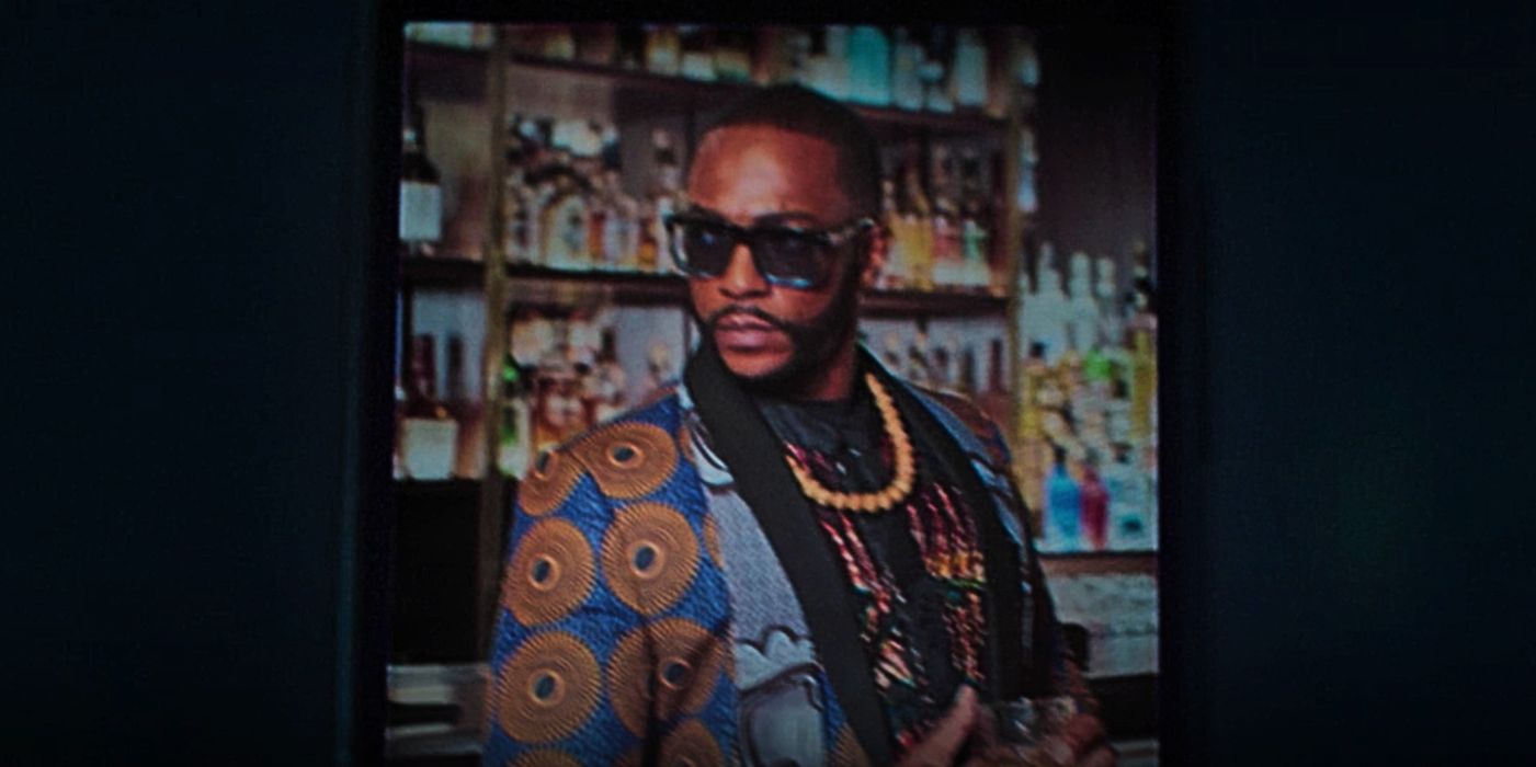 Falcon and Winter Soldier Smiling Tiger