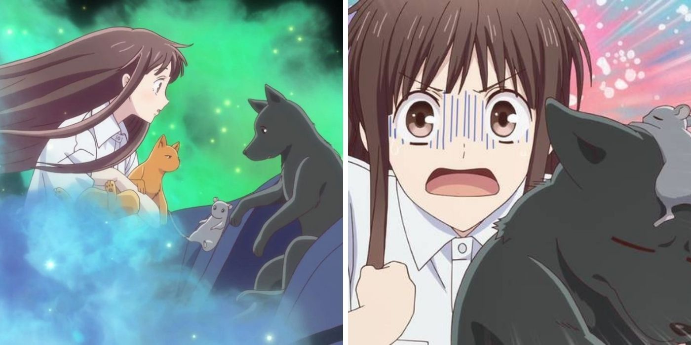 Fruits Basket (2001, 2019): The Sohma Curse vs They're All Animals
