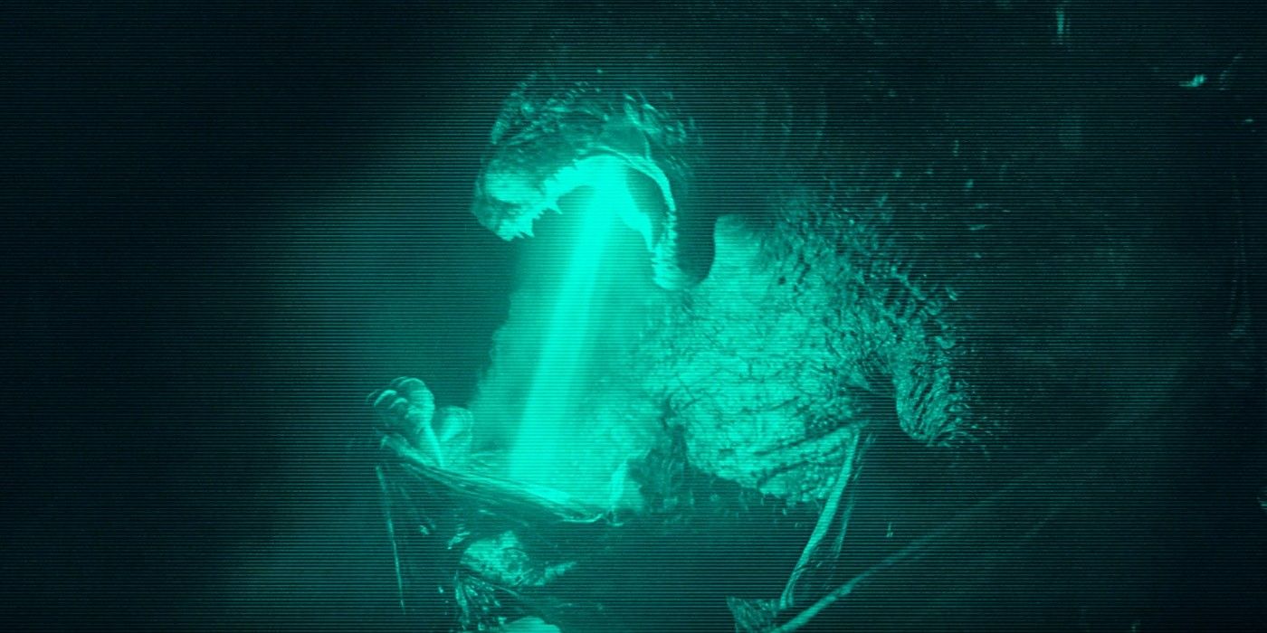Godzilla Vs Kong Godzilla Mata MUTO