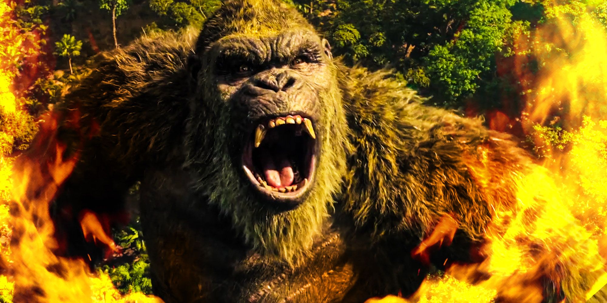 Kong's Main Weakness In MonsterVerse Revealed