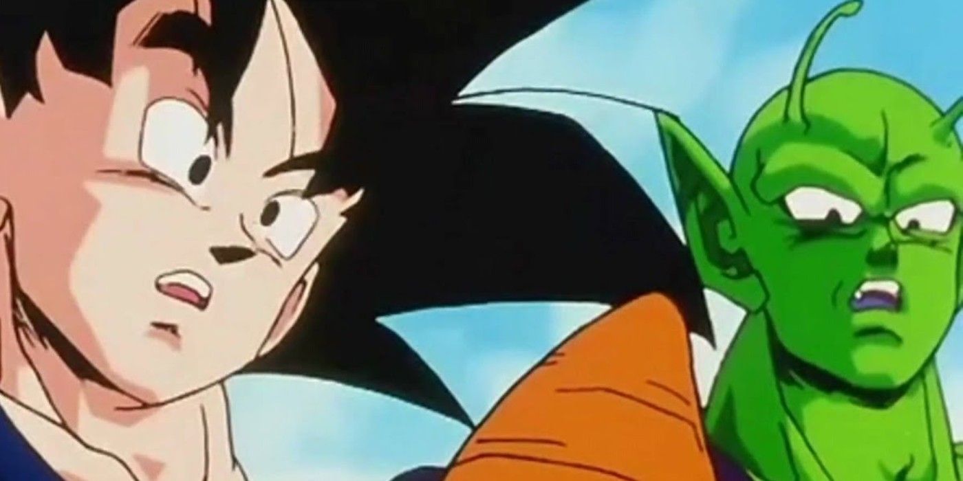 Goku and Piccolo in Dragon Ball