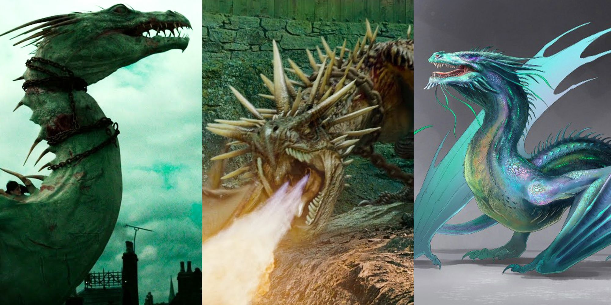 20 Fun Facts About Dragons — GripRoom