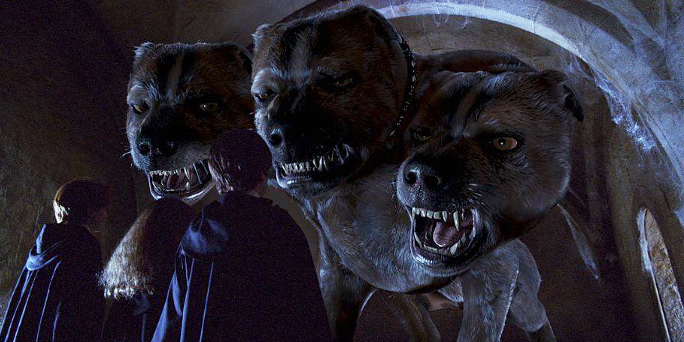 Fluffy the three-headed dog growls at Harry, Ron, and Hermione in Sorcerer's Stone