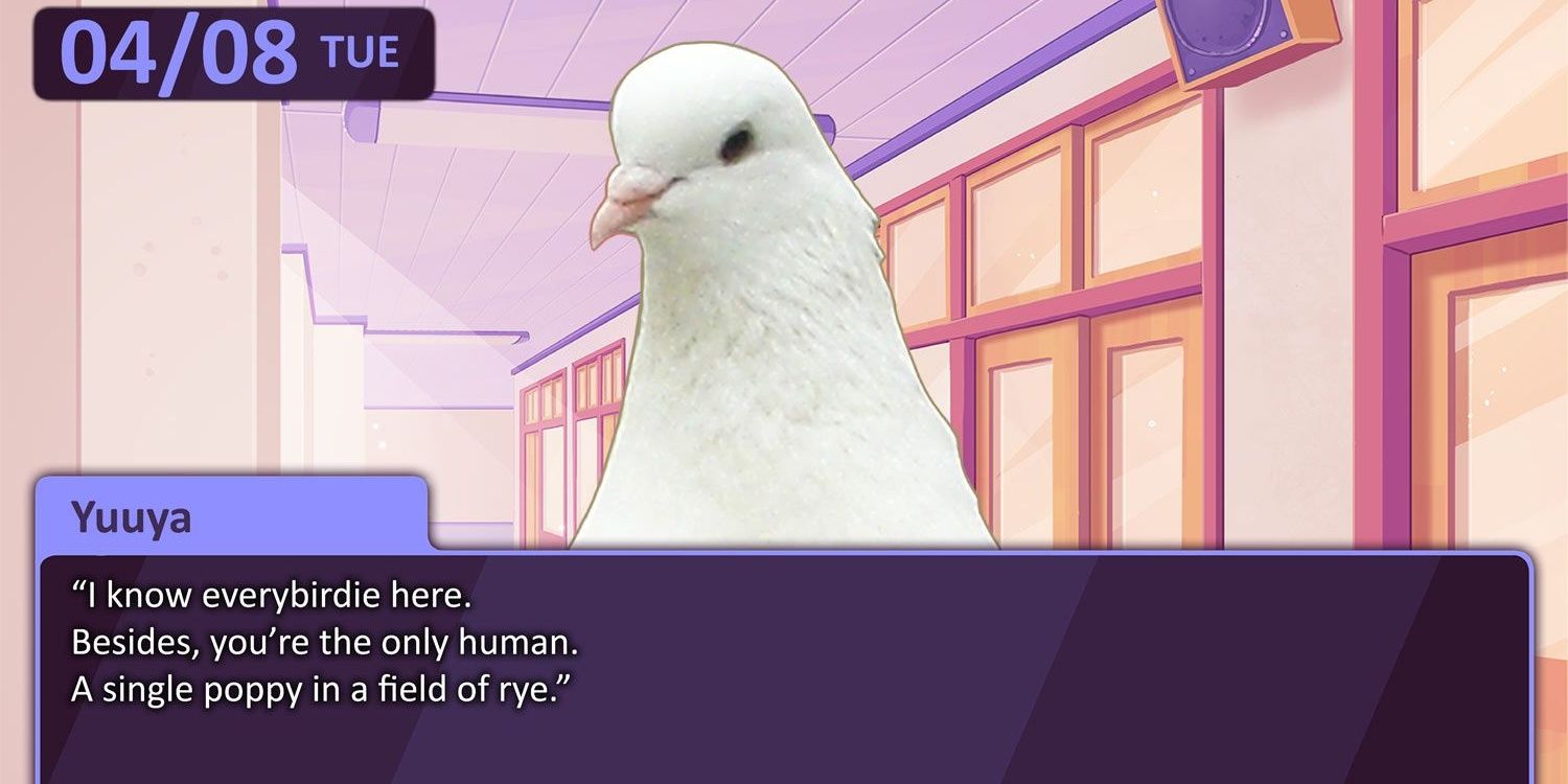 O personagem aviário Yuuya fala com o jogador com um texto de diálogo na parte inferior da tela em Hatoful Boyfriend.