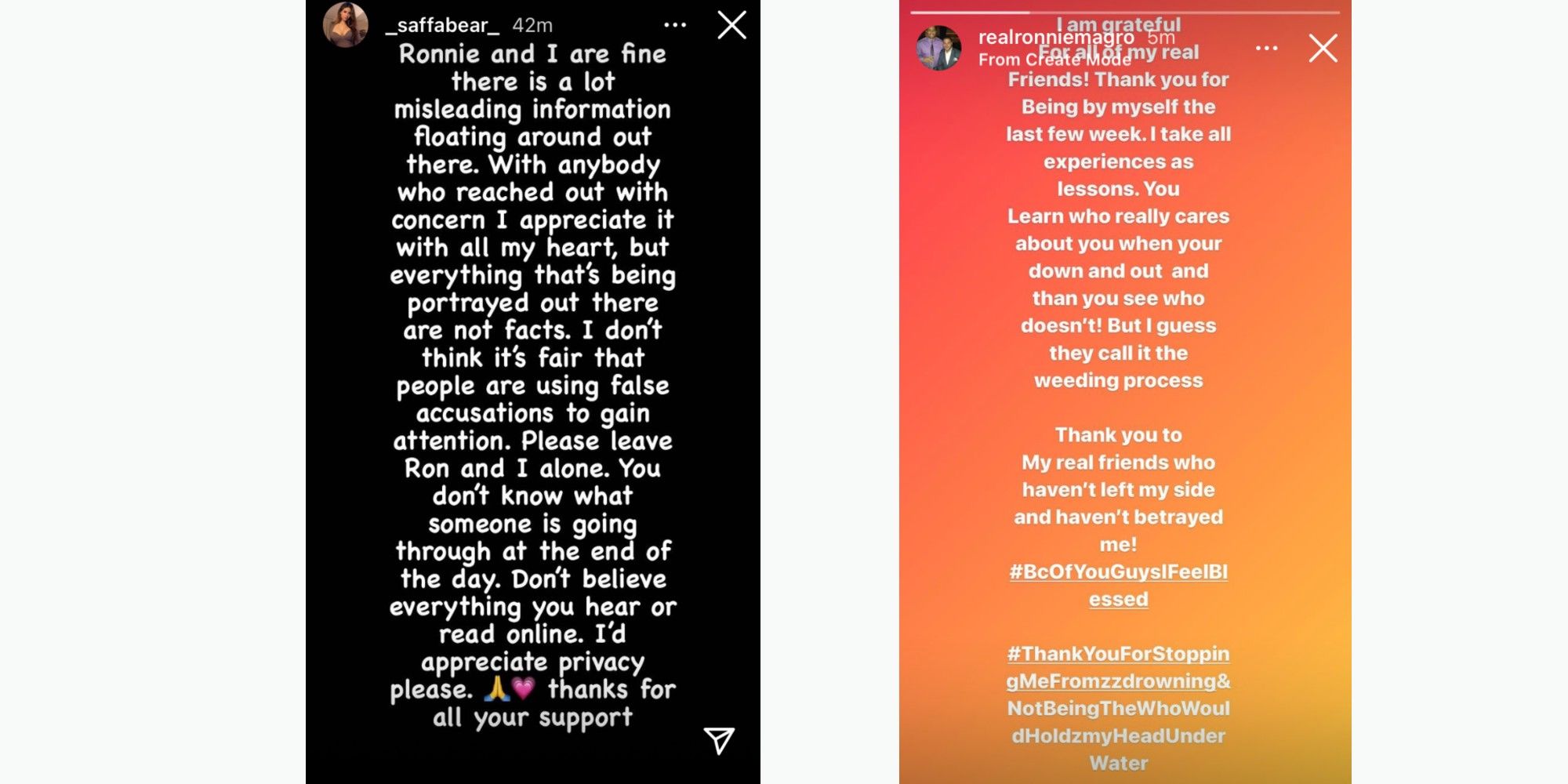 Jersey Shore Saffire Had Signs of Abuse When Ronnie Was Arrested