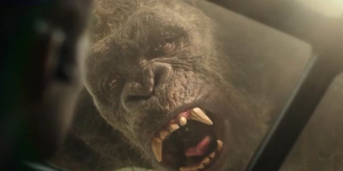 Kong Looking Through a Heaav Window while dropping into Hollow Earth