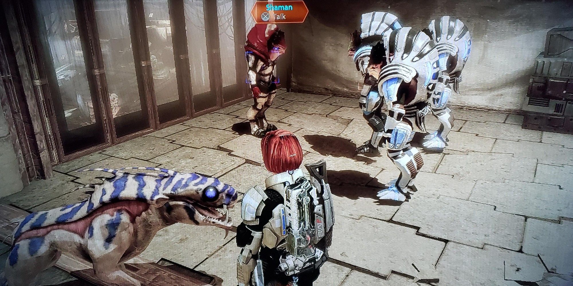 Urz follows Shepard and her squad to see the Urdnot Shaman in Mass Effect 2