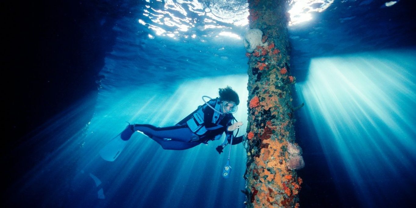 Sylvia Earle in Mission Blue