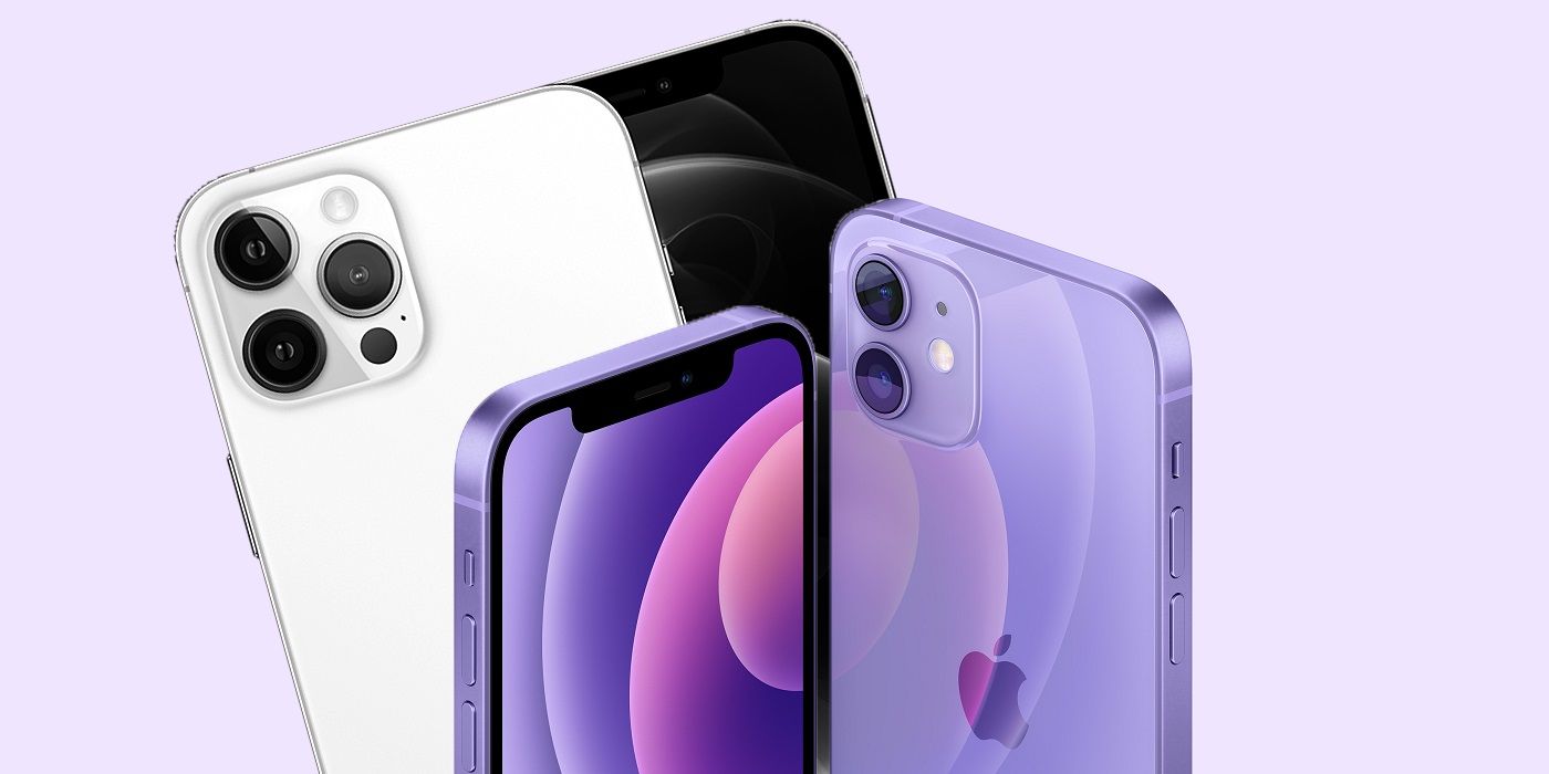 Can You Get A Purple Iphone 12 Pro Or Pro Max Screen Rant