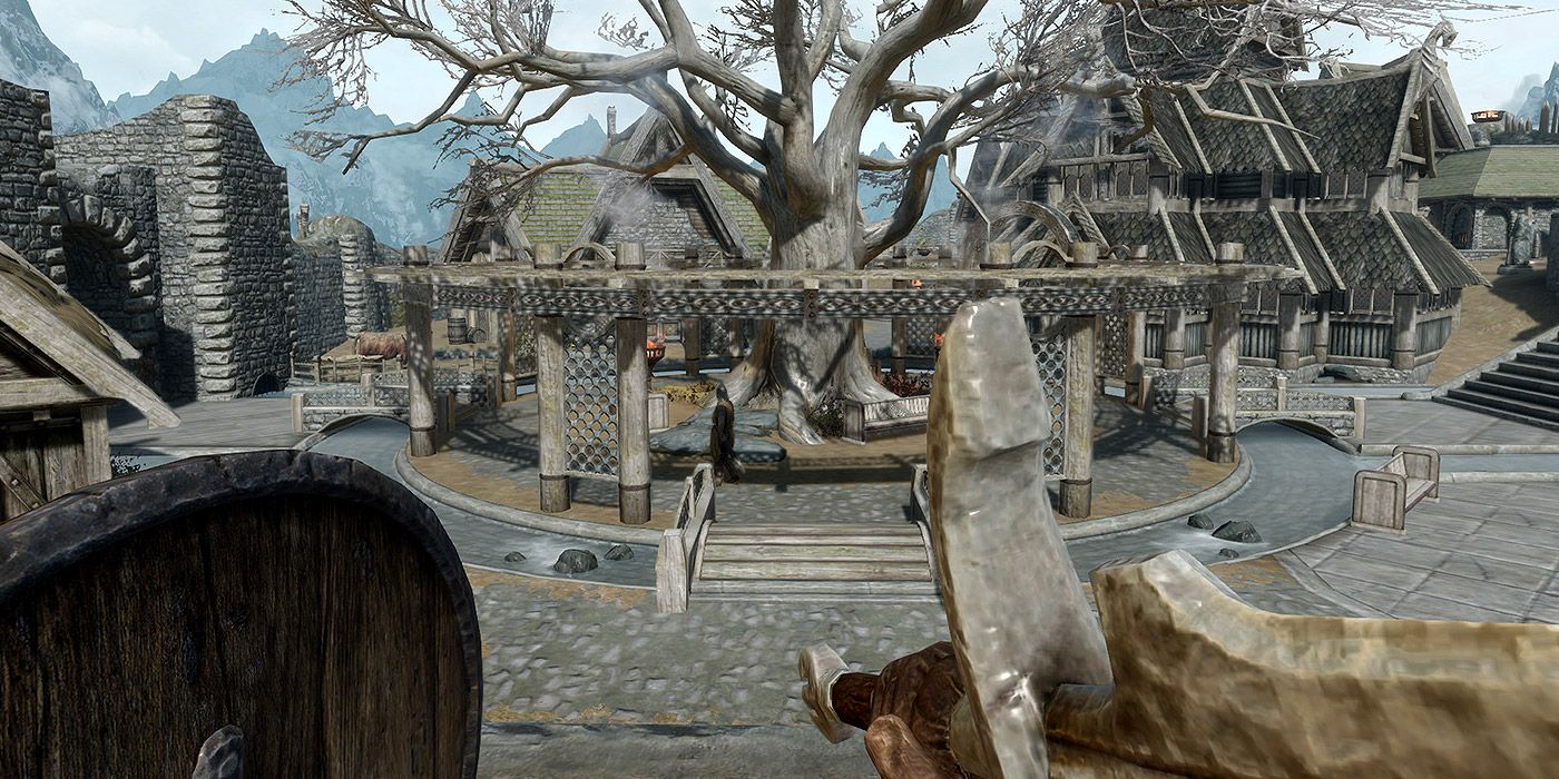 A first person perspective shot of a player holding a shield and a sword over the shoulder, with the Combat Gameplay Overhaul mod enabled