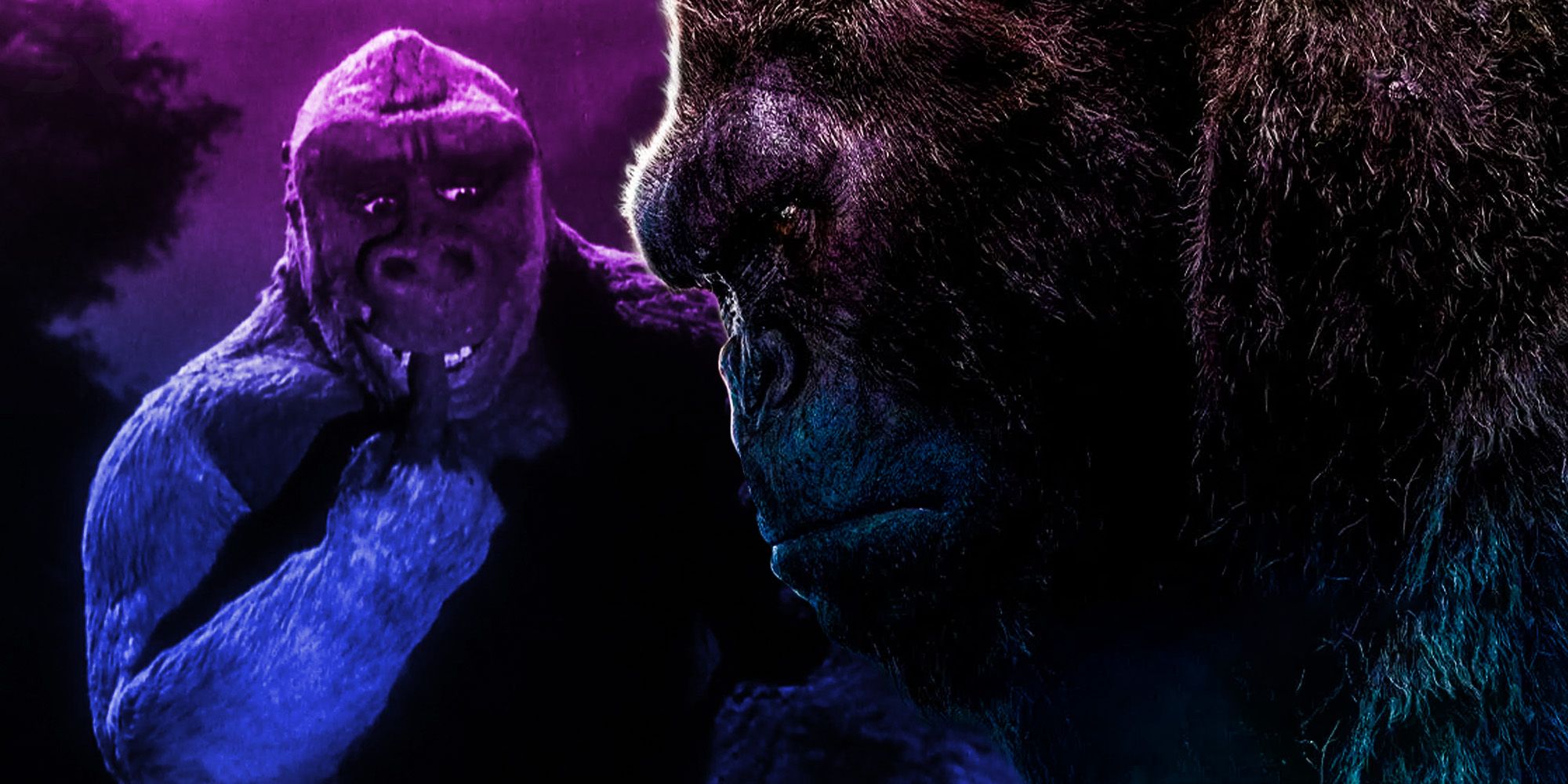 What A Son Of Kong Movie Would Mean For Kong & The MonsterVerse