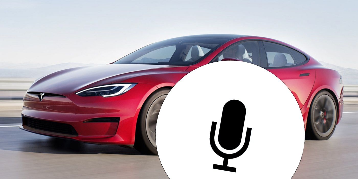 Tesla Voice command