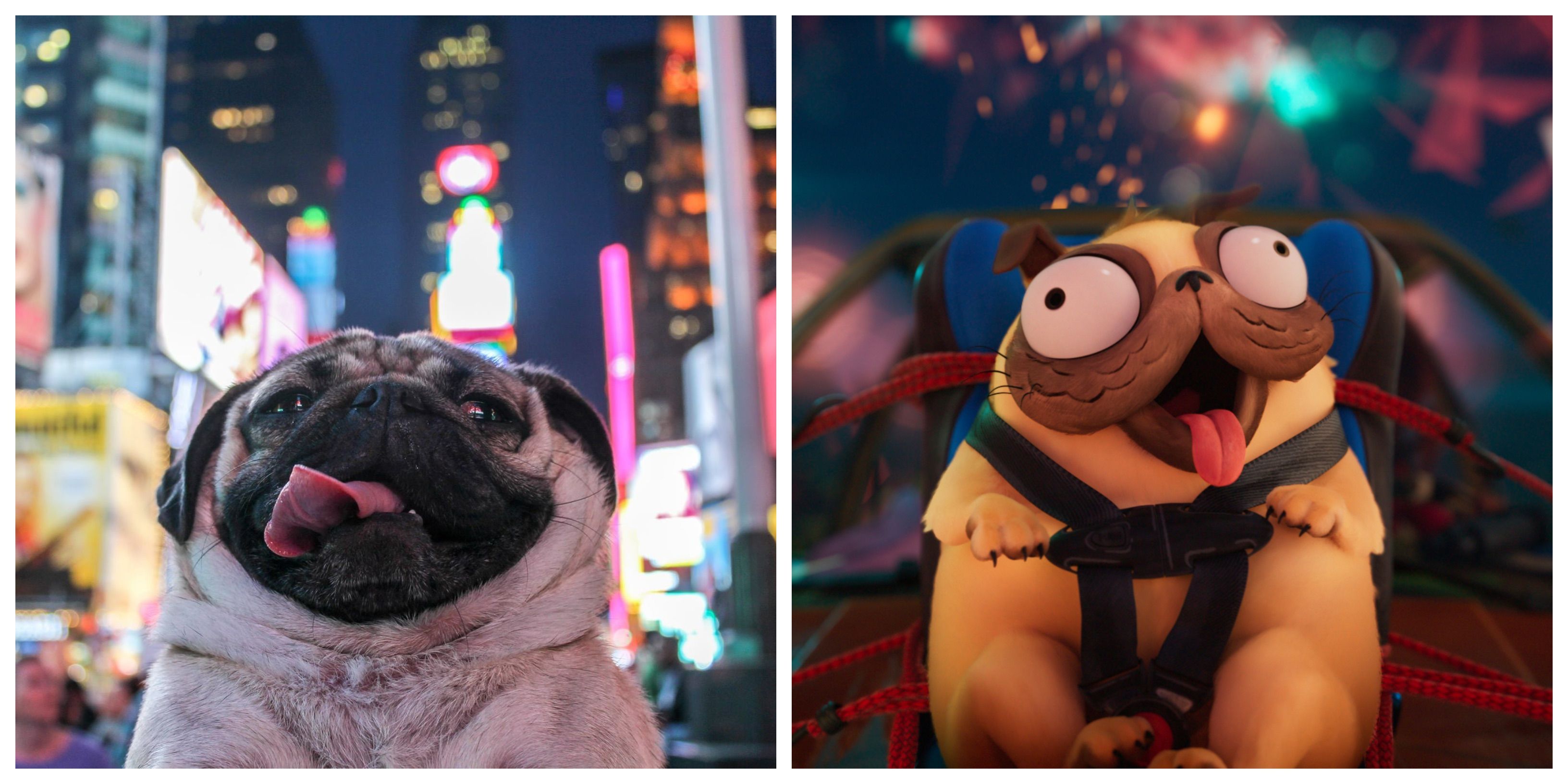 Doug the Pug as Monchi in The Mitchells vs. the Machines on Netflix