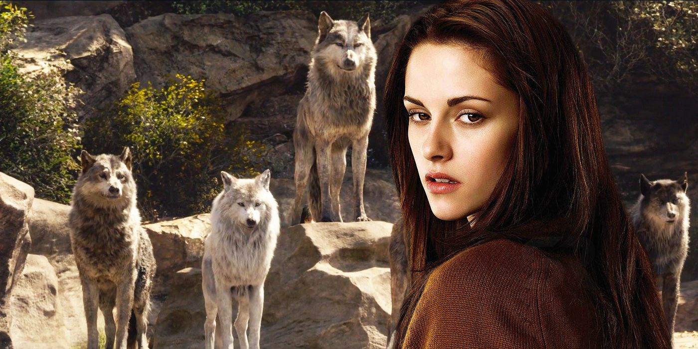 Werewolves and Bella from Twilight 