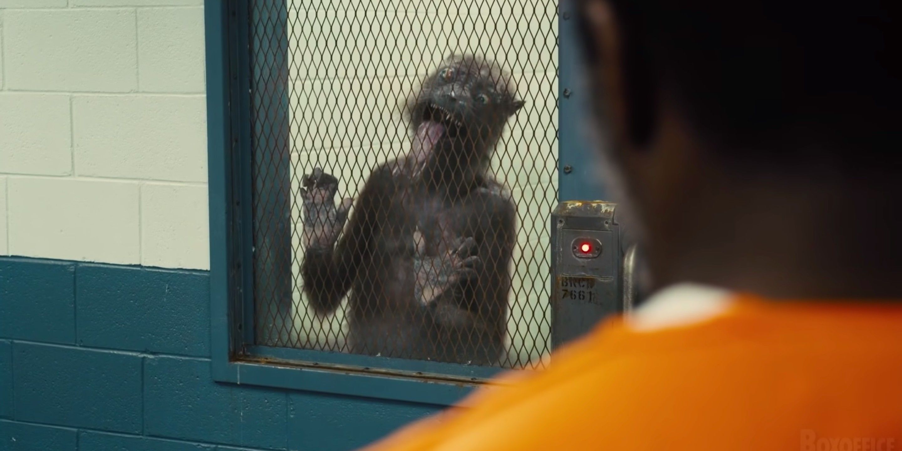 Weasel licking glass in The Suicide Squad