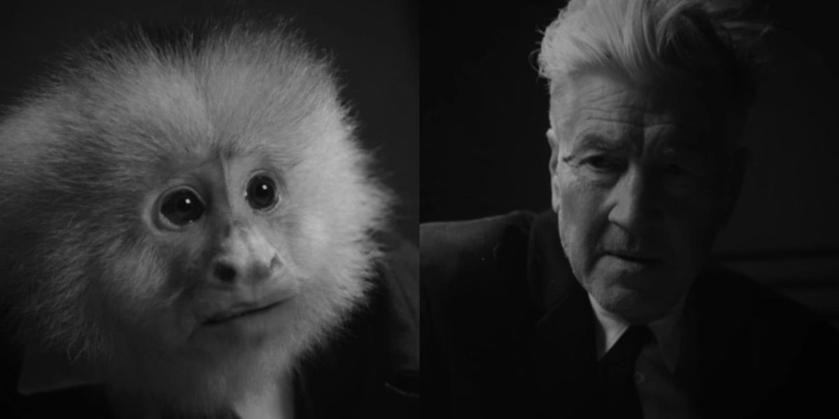 David Lynch and monkey in What Did Jack Do?