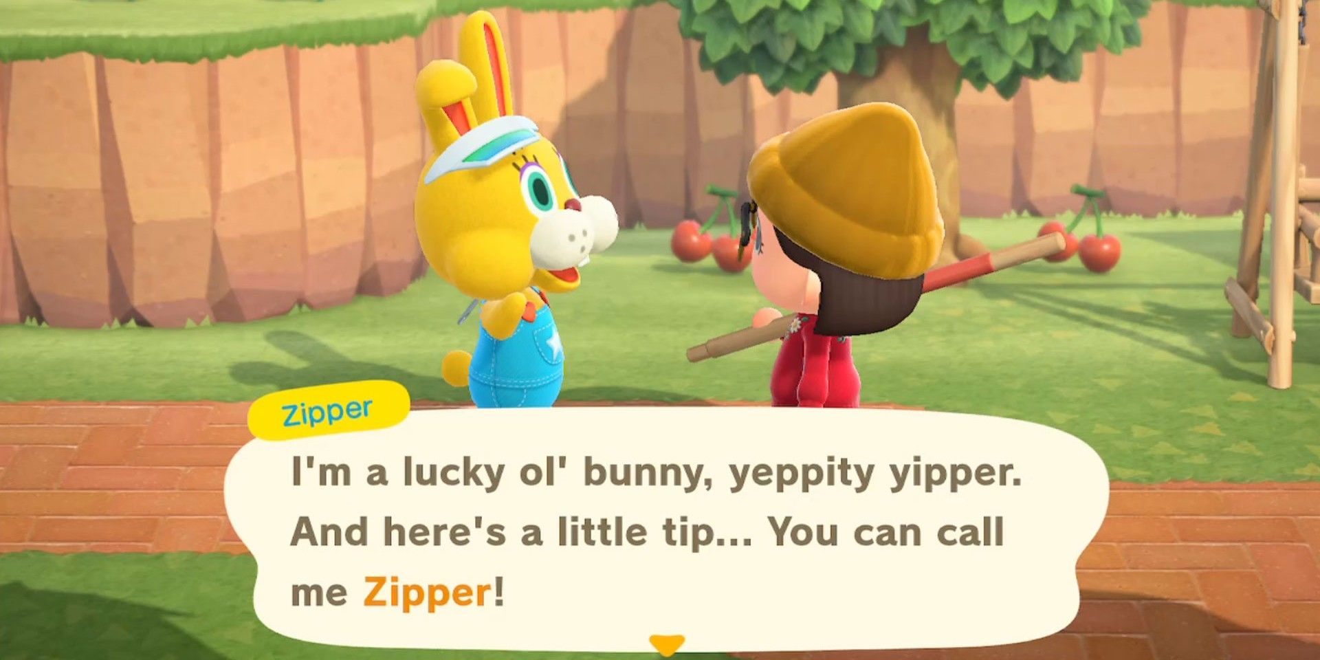 Animal Crossing Characters Who Is Zipper?