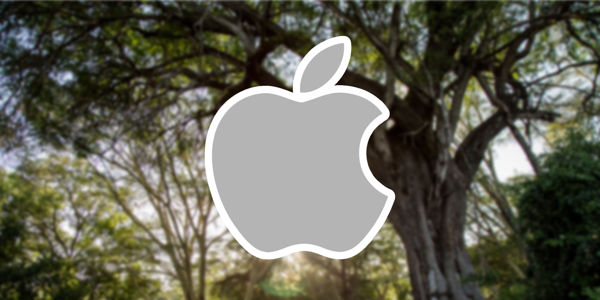 Apple logo in front of trees in a forest