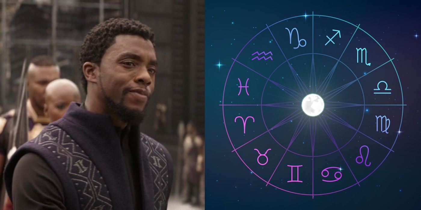black panther and the zodiac wheel