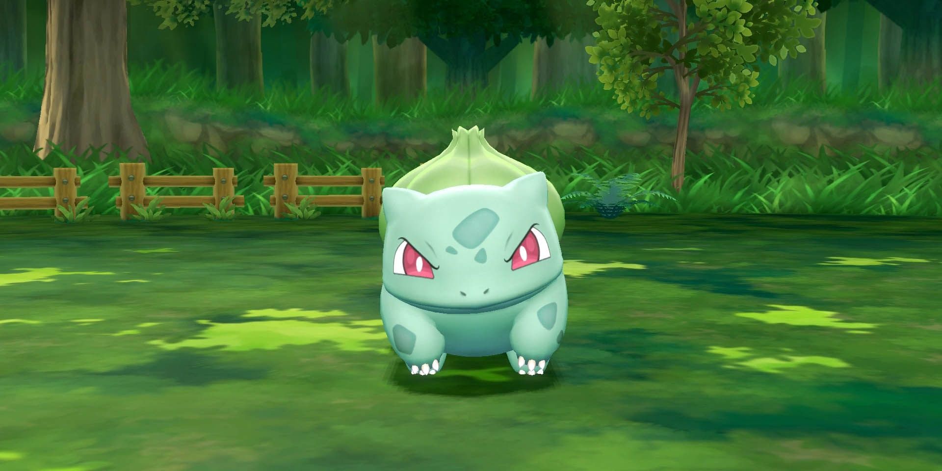 Bulbasaur looks ready to attack in the wilderness in the Pokémon series