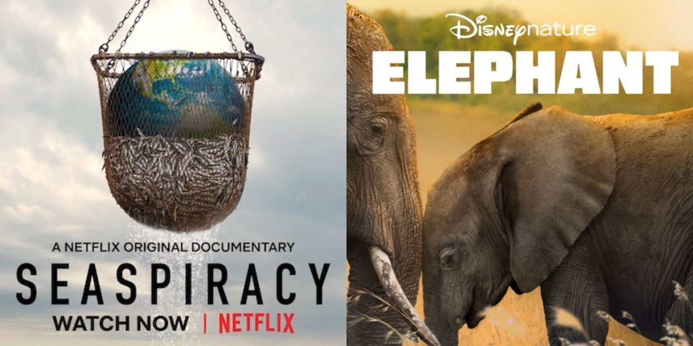 Seaspiracy On Netflix & Elephant Documentary