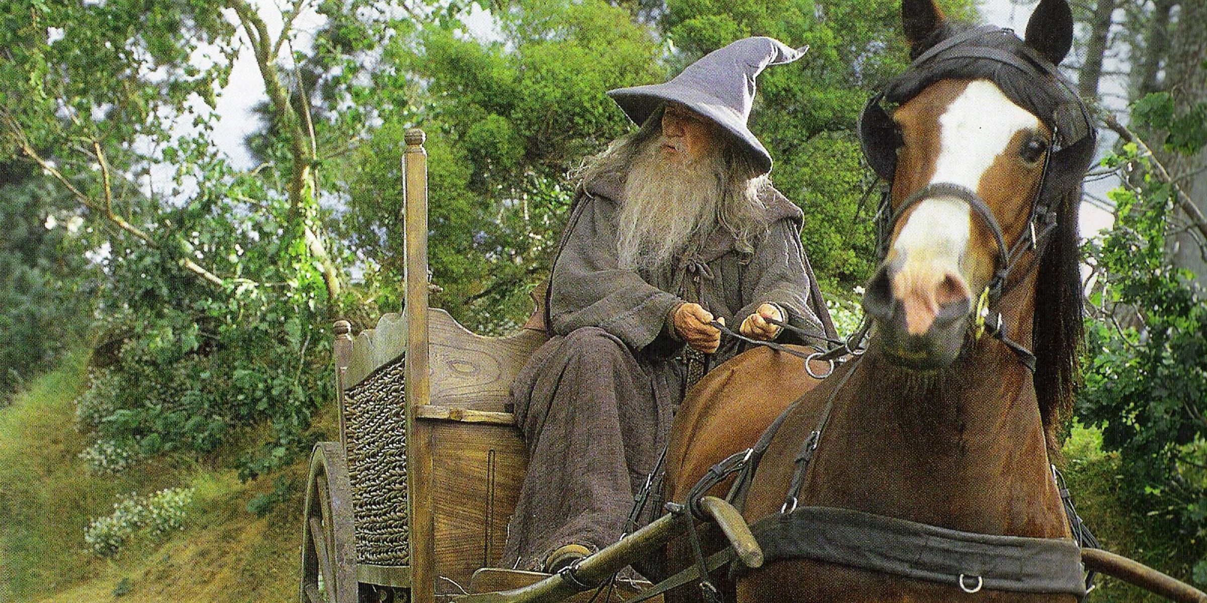 Gandalf arrives in The Shire