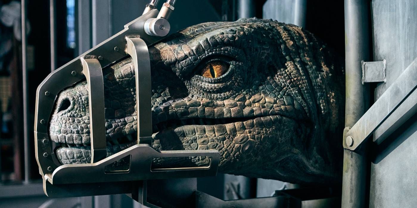 A raptor in a cage and muzzled in Jurassic World. 