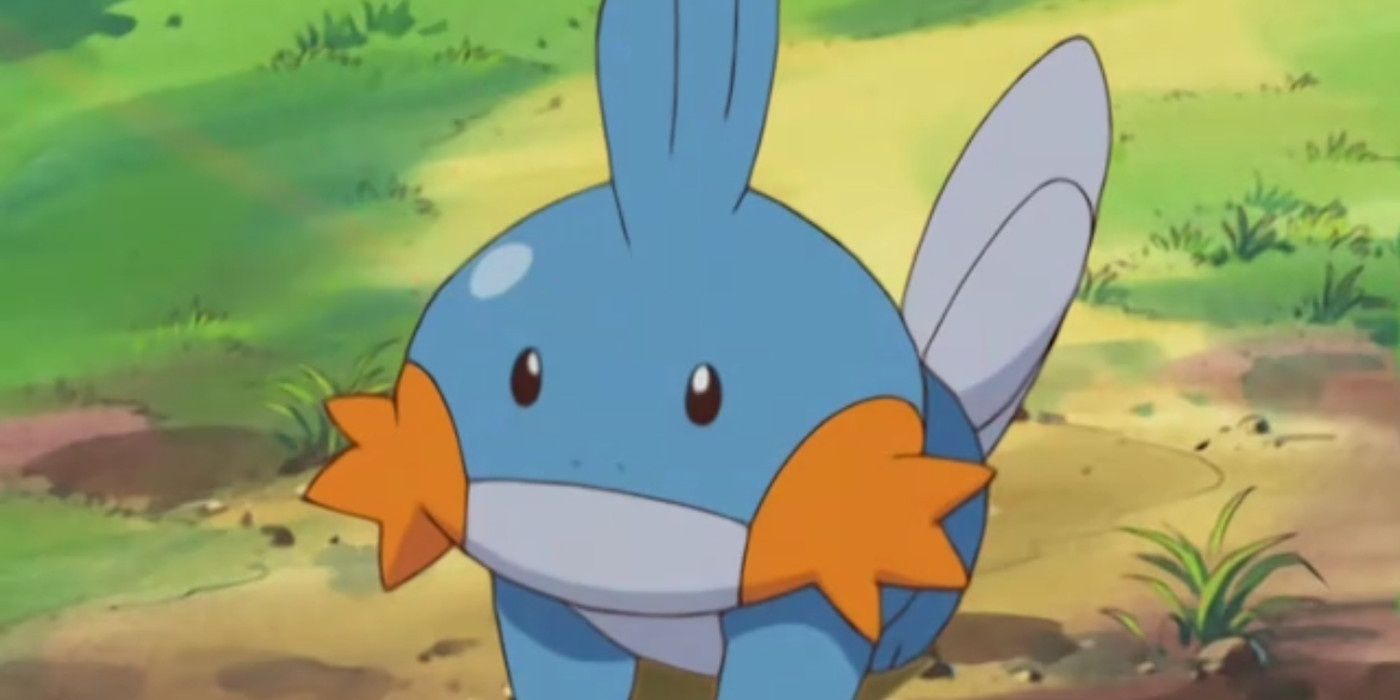 Mudkip looking confused in the Pokémon anime