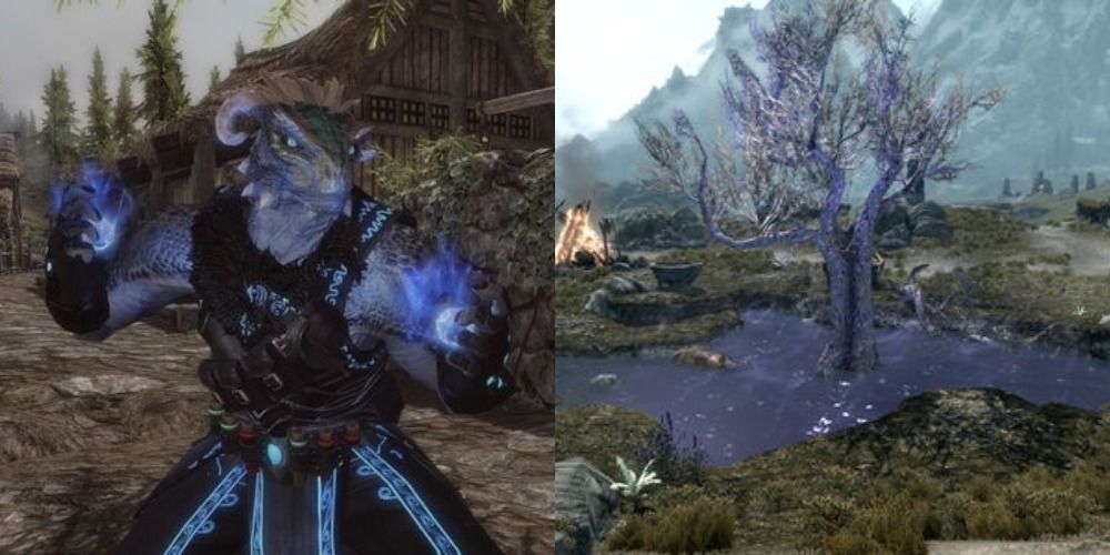 An Argonian using magic and a Hist Tree in Skyrim.