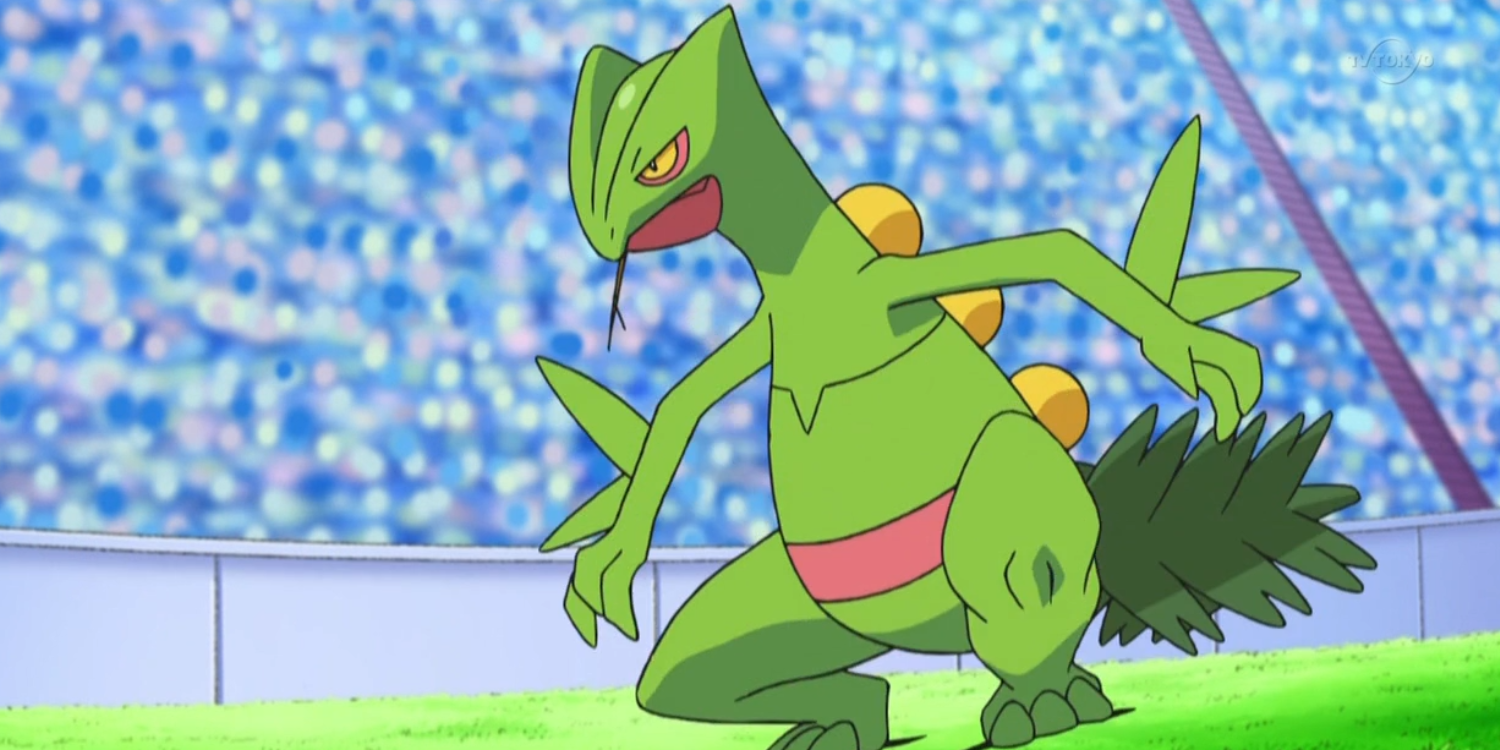 Ash's Sceptile is ready to battle in the Pokémon anime.