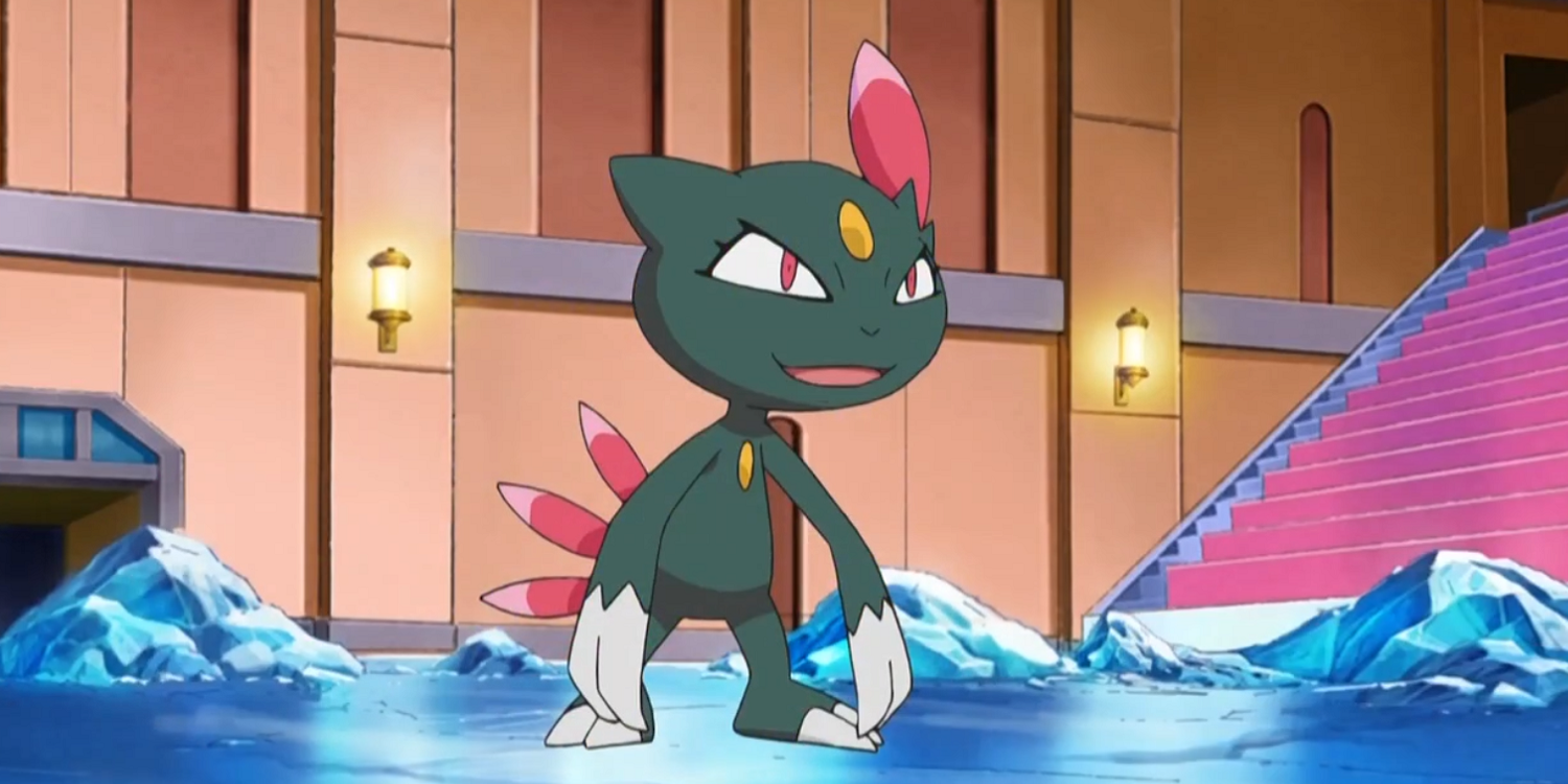 Sneasel from the Pokemon anime series